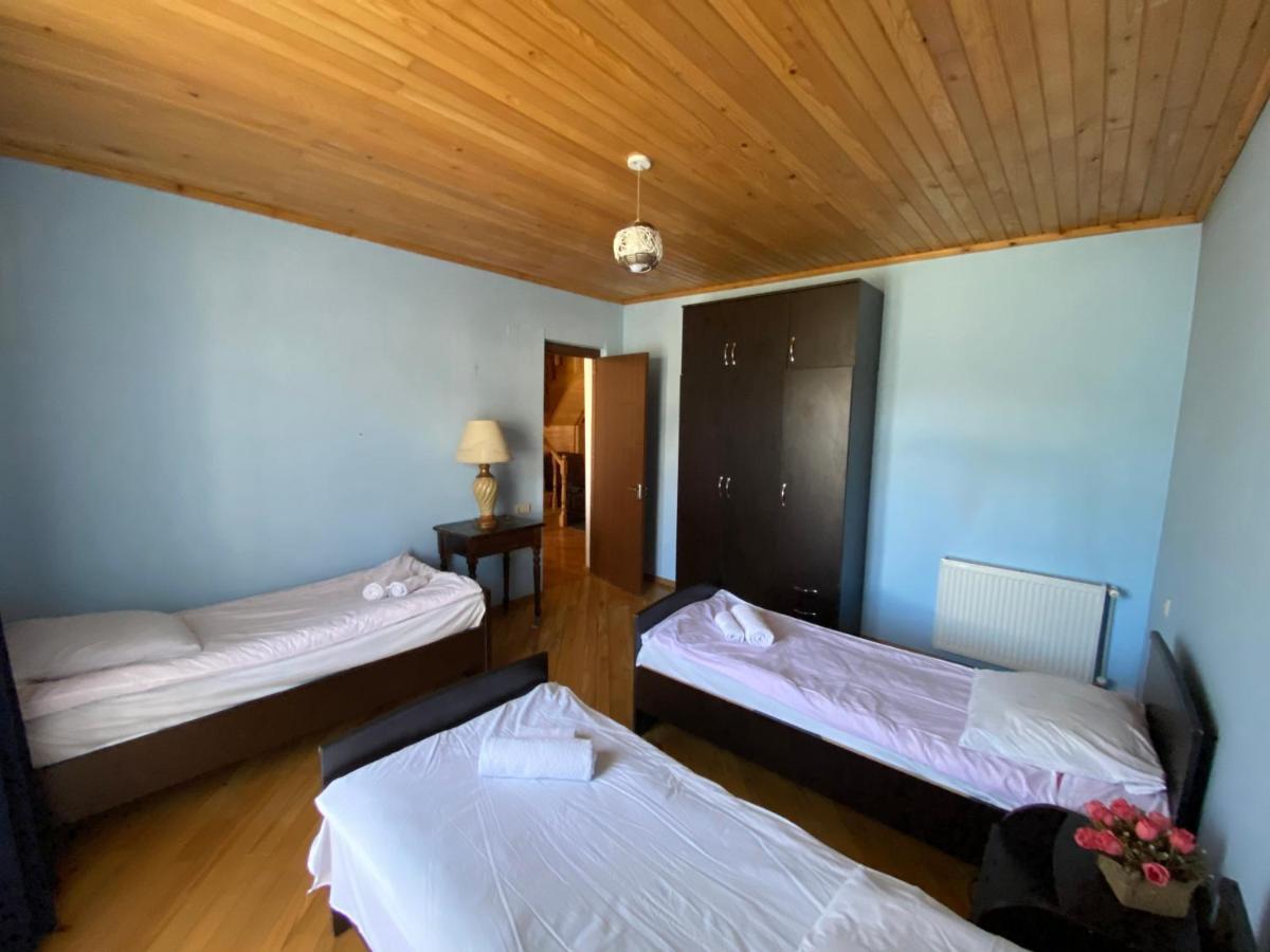 Manana Japaridze'S Guesthouse เมสเตีย ภายนอก รูปภาพ