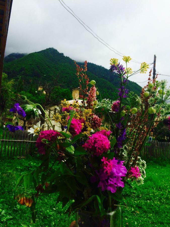 Manana Japaridze'S Guesthouse เมสเตีย ภายนอก รูปภาพ